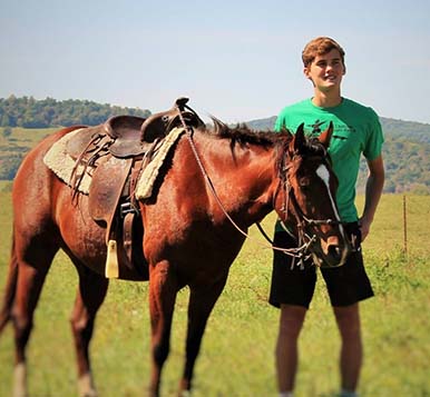 equine therapy