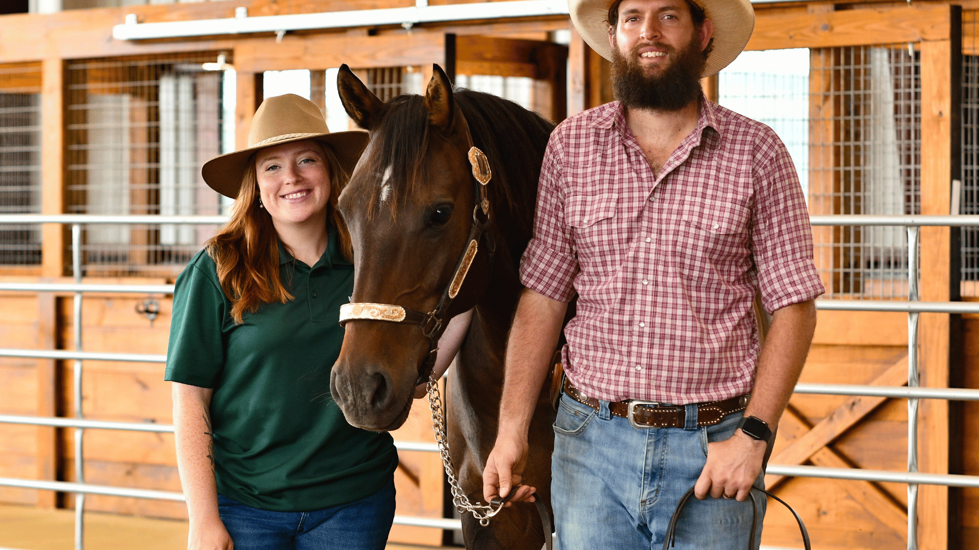 equine staff